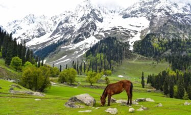 3 Days Trip to Kashmir Shardah (From Islamabad)